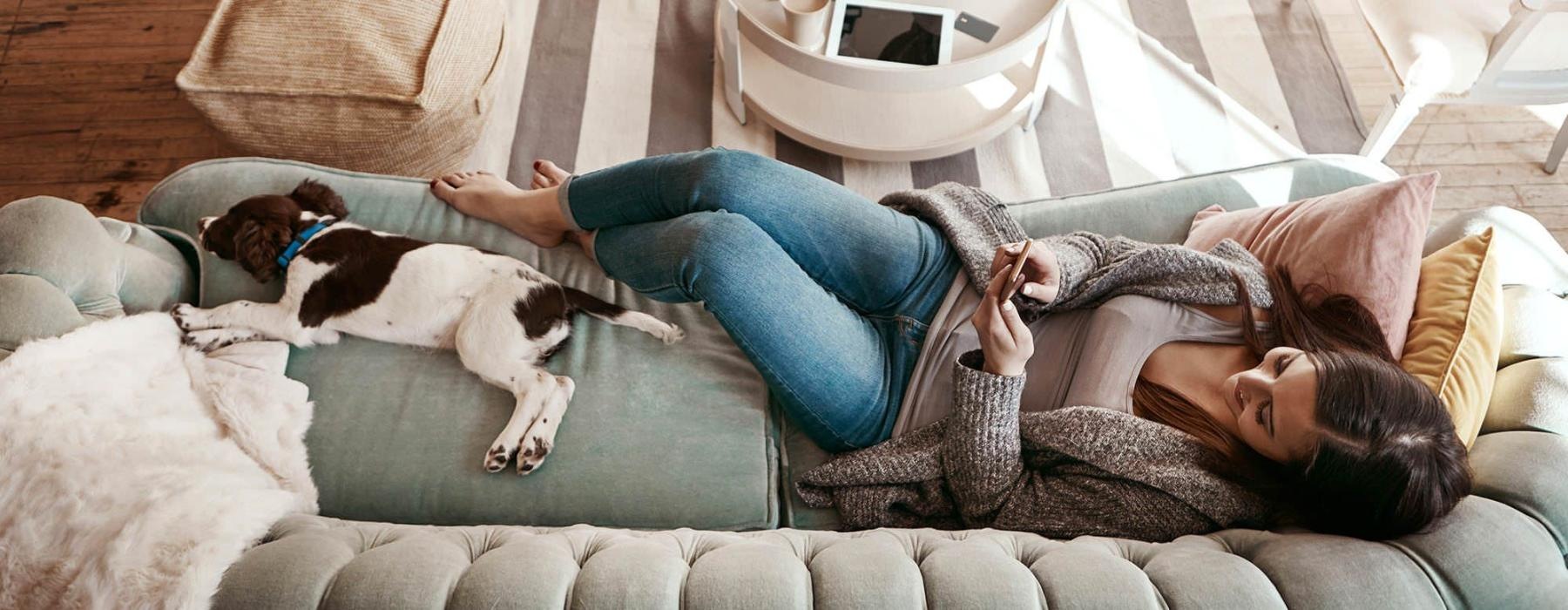 overhead view of  a woman texting as she lies on a couch with a dog at her feet