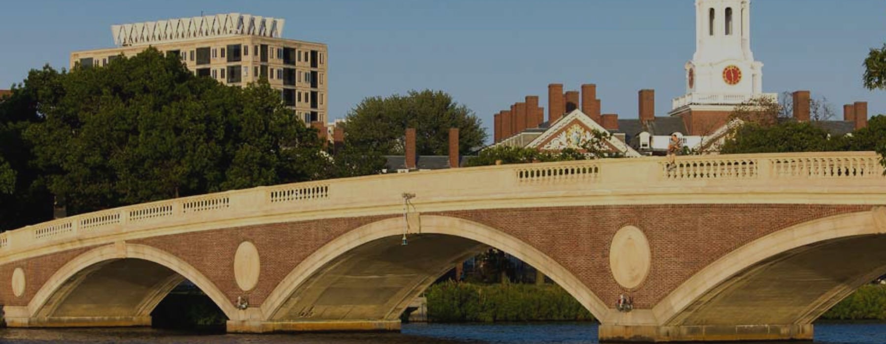 bridge with trees and buildings behind it